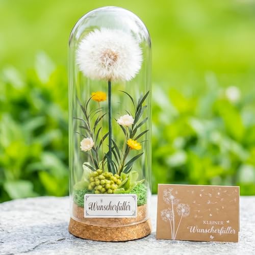 Wunscherfüller Pusteblume im Glas 16x6cm Wunscherfüller Geldgeschenk für Frauen Freundin Blumen im Glas Deko Geschenke für Geburtstag Hochzeit Jugendweihe Valentinstag