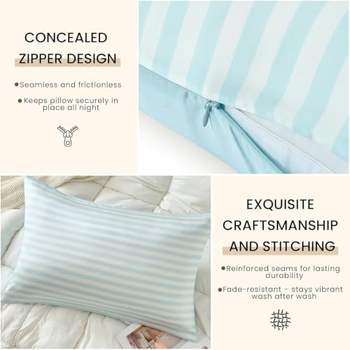 Image of THXSILK Set of 2 Mulberry Silk Pillowcase for Hair and Skin, Cooling Bed Pillow Cover with Hidden Zipper, Soft Smooth Print Silk Pillowcase Gifts for Women Men (Queen 20 inchx30 inch, Blue Stripes)