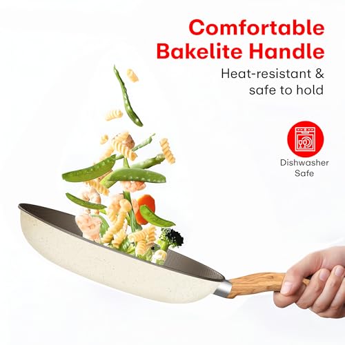 Image of Rioware Non-Stick Maifan Frying Pan (3L) | 5-Layer Non-Stick Coating | Induction, Ceramic, Electric & Gas Compatible | Dishwasher Safe |Multipurpose Pan for Eggs, Stir-Fry (24CM, Maifan Frypan Black)