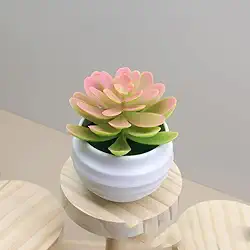 Plantas suculentas artificiais em vasos, pequenas plantas falsas para quarto, estética, sala de estar, escritório, prateleira, decoração de banheiro (rosa)