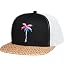Black Straw Print - Palm
