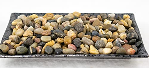 7.75' Rectangular Black Stain Ceramic Humidity/Drip Tray for Bonsai Tree and House Indoor Plants...