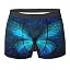 Color Butterfly 16