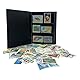 IMPACTO COLECCIONABLES – Sammlung von 100 Briefmarken mit Meerestier-Motiven mit Album (14 x 18 x 1 cm) | Erweitern Sie Ihre Briefmarkensammlung mit echten gestempelten Briefmarken