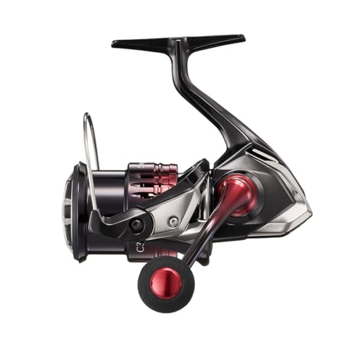 Reel Sephia BB-C3000S turlutte seiche calmar et tresse fine eging