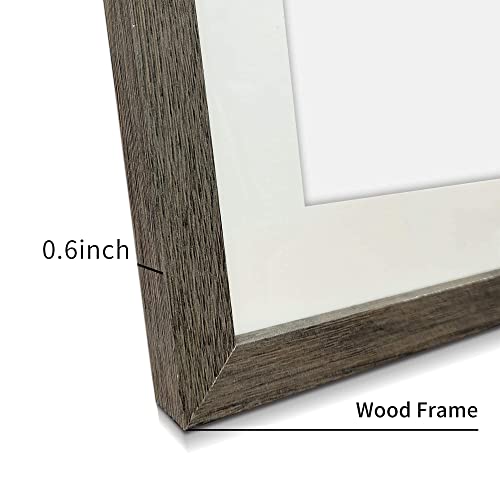 Botanical Leaf Framed Wall Art Set Of 2 Minimalist Nature Plant Leaf Pictures Print With Wooden Frame For Wall Decor 11 X 14 Inch #TOP5