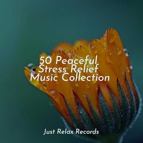 Play 50 Peaceful Stress Relief Music Collection by Musica romantica