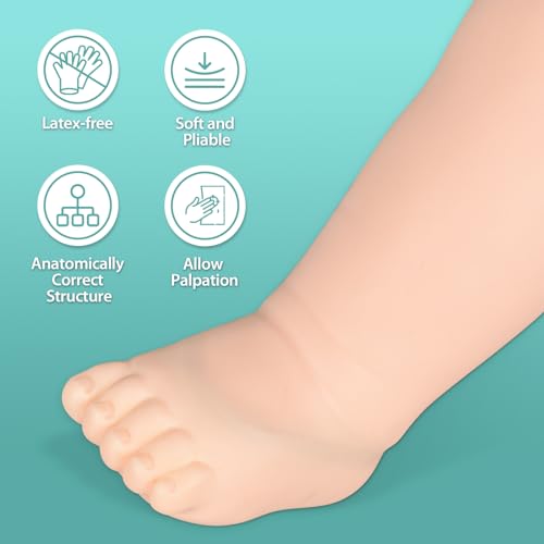 Image of Pediatric IV and Phlebotomy Practice Leg Kit for Practice Heel Stick, Baby IV Practice Kit