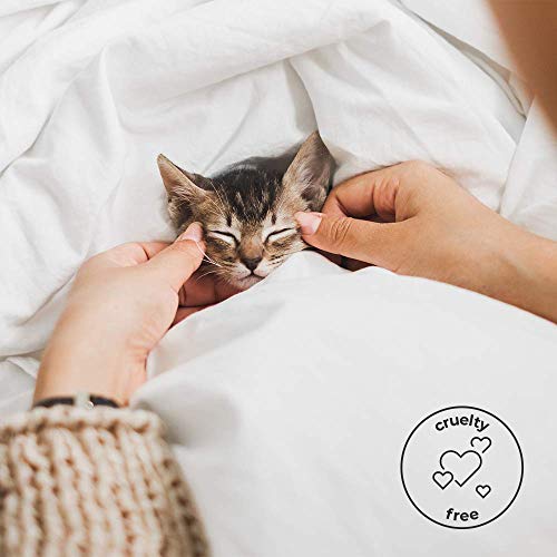 Pick Up & Go Fruity Facial Cleansing Wipes | Makeup Remover Wipes | 25Ct (8Pk) Nourishing (Mango) #TOP4