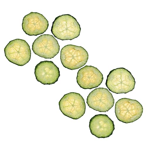Rodajas Naturales de Pepino Seco Presionado para Manualidades 12 piezas