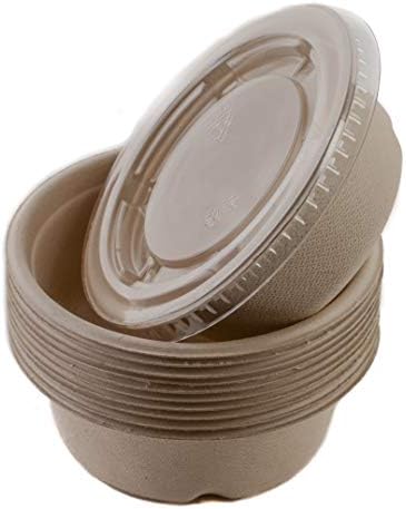 [25 PACK] 12oz Round Disposable Compostable Bowls with Lids Natural Sugarcane Bagasse Bamboo Fibers Sturdy Eco Friendly Environmental Paper Plastic Bowl Alternative Tree Free