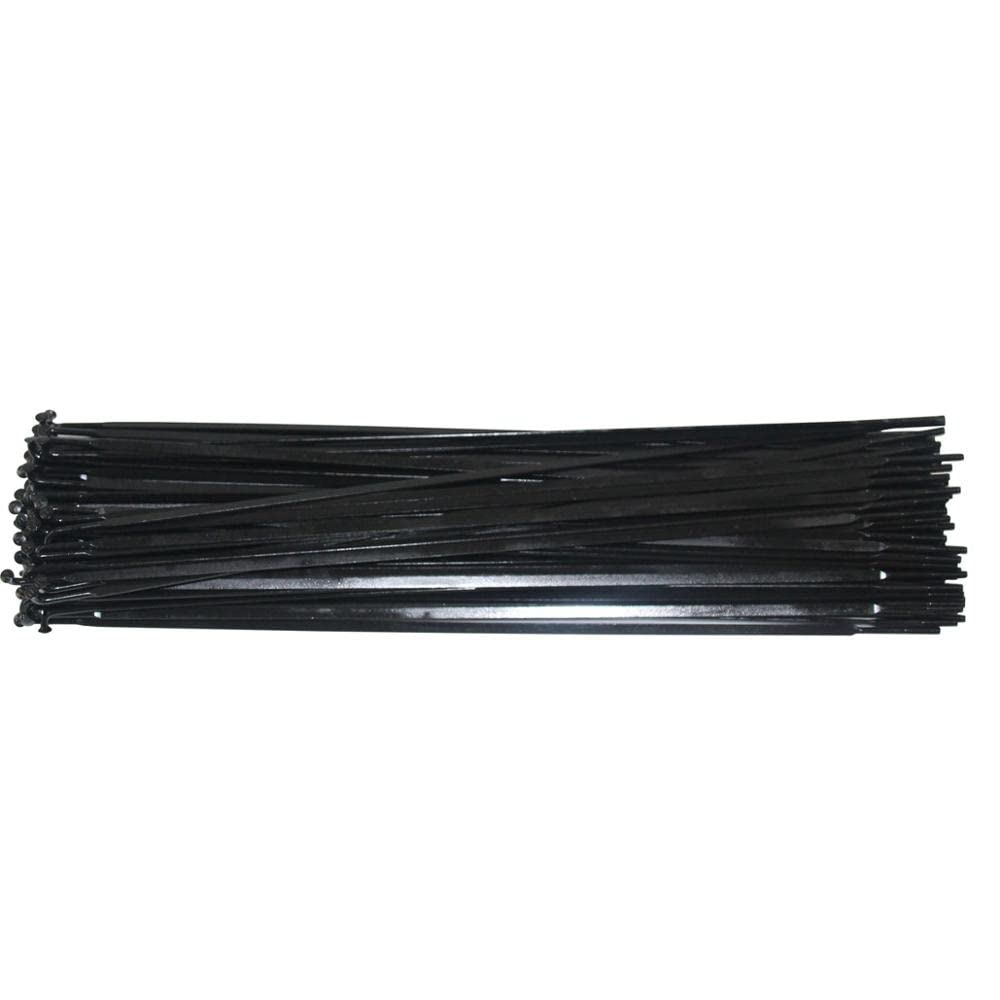 Raggi Bicicletta Raggi in acciaio inossidabile con gancio a J o raggio a colonna dritta(Straight 24pcs)