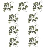 bobby ledford franklin nc Blätterlichter - die lichterkette hat warme farben, die eukalyptusblätter sind künstlich und wunderschön, eine raumlichtdekoration