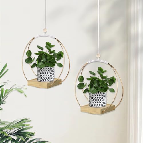 hismocal Hanging Planter for Indoor Plants, Plant Hanger with Sturdy Wood Base,Modern Boho Macrame Plant Hanger,Wall Ceiling Window Stands(Plants/Pots Not Included) by hismocal - Used condition - Image 2