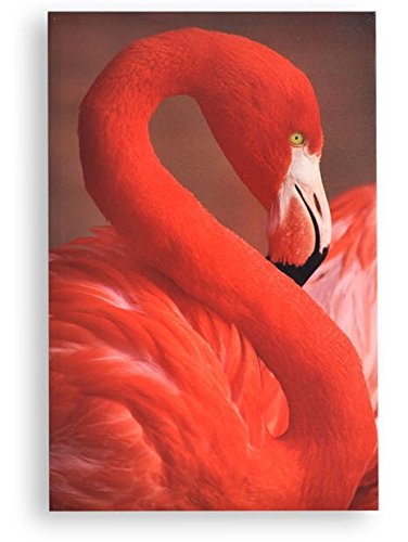 AVENUELAFAYETTE Cadre toile tableau Flamant rose - 60 x 40 cm (M2)