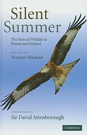 Silent Summer: The State of Wildlife in Britain and Ireland book cover