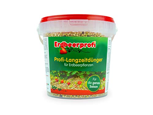 Erdbeerprofi - Dünger für Erdbeeren (500 g) - Langzeitdünger für Erdbeerpflanzen - Erdbeerendünger - Düngemittel für Erdbeeren
