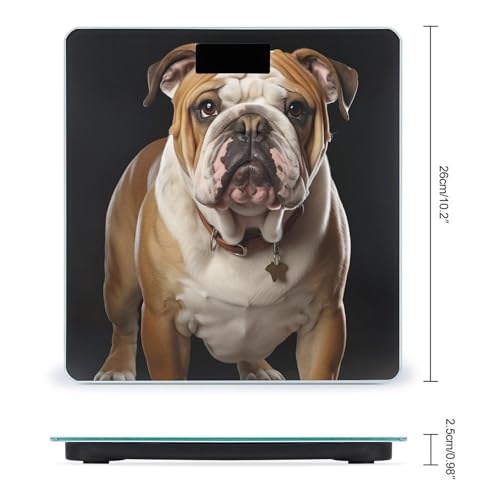 Báscula Digital English Bulldog para Baño 400 lb miniatura 2