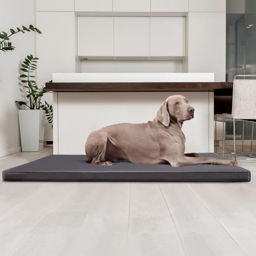 tierlando® Carlos Ortho-Medic Orthopädische Hundematratze aus Kunstleder mit Visco Memory Foam, Größe: 120x90cm | Farbe: 02 Graphit