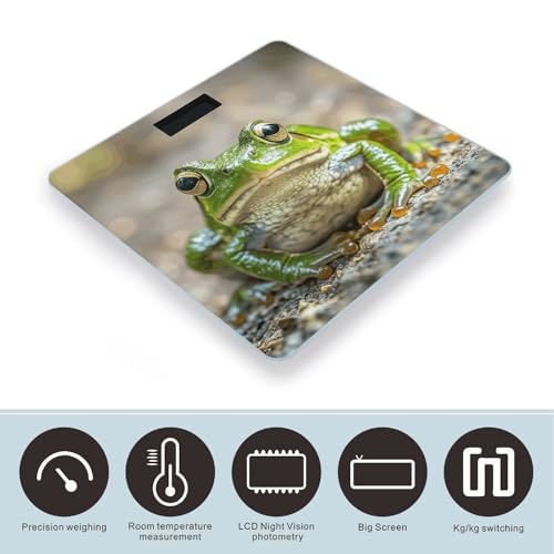 Báscula Digital de Baño FekiLoot con Plataforma de Vidrio miniatura 3