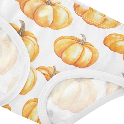 Fall Pumpkin Thanksgiving Autumn Toddler Girls's Underwear 2T 202b71944