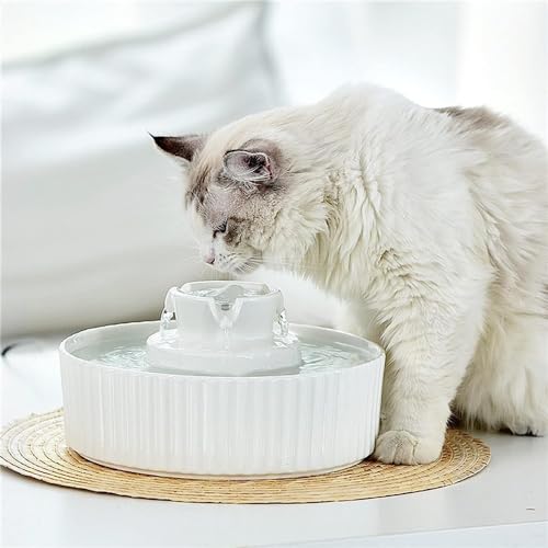 Fuente de Agua Automática para Gatos 2.1L REAGAR miniatura 7