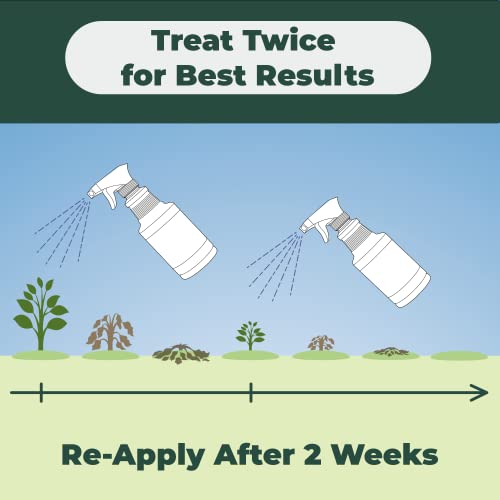 Clean Green Selective Weed Killer For Lawns - Kills Weeds, Not Grass - 1 Gallon #TOP5