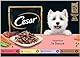 Cesar Adult Hundenassfutter Selektion in Sauce, 48 Portionsbeutel, 12x100g (4er Pack) – Ausgewogenes Premium Hundefutter nass, Auswahl mit Rind, Huhn, Lamm und Truthahn
