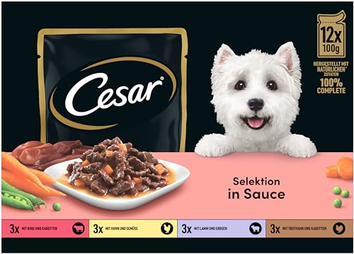 Cesar Adult Hundenassfutter Selektion in Sauce, 48 Portionsbeutel, 12x100g (4er Pack) – Ausgewogenes Premium Hundefutter nass, Auswahl mit Rind, Huhn, Lamm und Truthahn