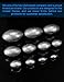 BLUEWING Egg Sinkers Fishing Weights Oval Shaped Fishing Sinkers Lead Fishing Sinker for Saltwater Fishing，1/8 oz, 20pcs