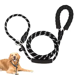 ELECTOMANIA 6FT Dog Training Leash, Adjustable Loop Slip Lead Rope, Durable Dog Rope Leash with Comfortable Padded Handle and Highly Reflective Threads, for Small, Medium, Large, Giant Sized Dogs (B
