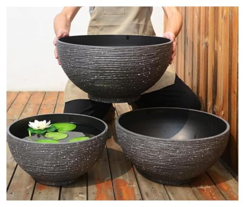 睡蓮鉢 特大」の人気商品一覧・価格比較 - 価格.com