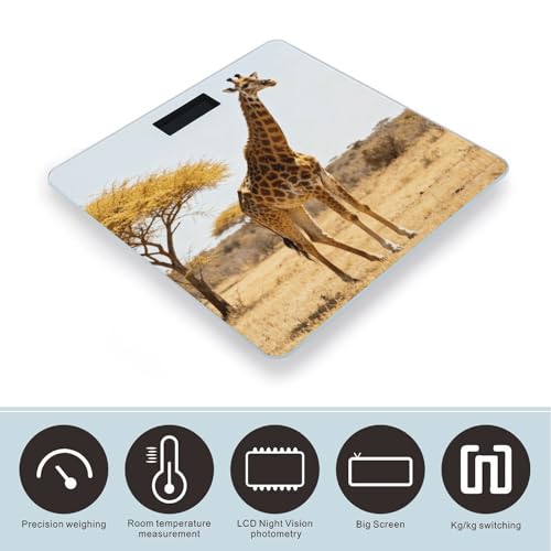 Báscula digital de baño precisa y estable BTCOWZRV miniatura 3
