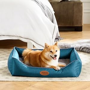 Orthopedic-Dog-Beds-for-Medium-Large-Dogs-Durable-Egg-Crate-Foam-Sofa-Dog-Bed-wit-Washable-Removable-CoverWaterproof-Lining-and-Nonskid-BottomPet-Bed-for-Large-Dogs-Peacock-Blue-Medium - Cucciolini Doodles   Orthopedic-Dog-Beds-for-Medium-Large-Dogs-Durable-Egg-Crate-Foam-Sofa-Dog-Bed-wit-Washable-Removable-CoverWaterproof-Lining-and-Nonskid-BottomPet-Bed-for-Large-Dogs-Peacock-Blue-Medium