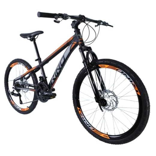 Bicicleta Aro 24 Rino Everest Freio Disco 21v Câmbio Shimano