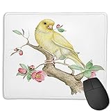 kanarienvogel kaufen in essen ✦EIN QUALITÄTSDRUCK-MAUSPAD: Waschbares Design und Verblassen Verhindern,nicht bleichbar. Einfache Reinigung und Wartung. Einseitiges Drucken. Interessante personalisierte benutzerdefinierte Mauspads bringen ein neues Erlebnis in Ihr Büro-Gaming-Leben.