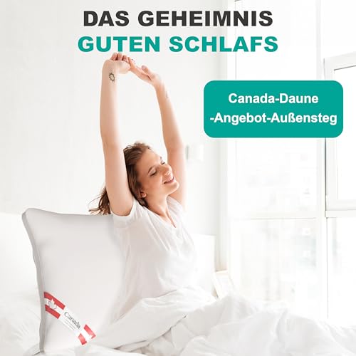 Bach's Betten Welt Neuheit Premium Daunenkissen Canada Aussensteg 80x80 cm 100% Natur 900 g canadische Daune