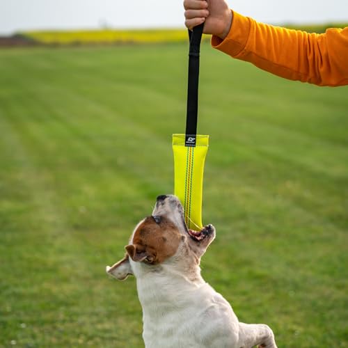 Bull Fit Bungee Beisswurst für Hunde, 25 cm mit Handschlaufe - Sehr Robustes Hundespielzeug zum Training, Tauziehen und Zerrspiele mit Hund - Aus hochwertigem Feuerwehrschlauch handgefertigt