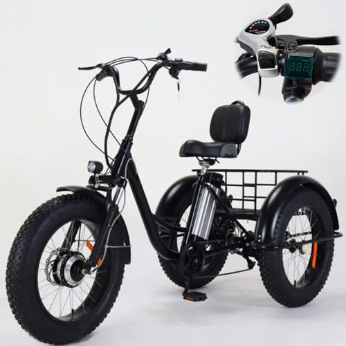 Dreirad Für Erwachsene Mit E Motor Test Die 7 besten Dreirad E Bikes für Erwachsene (Test)