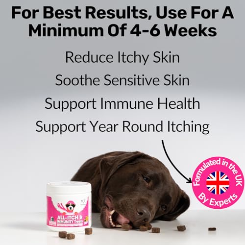 NutriPaw Itch Kit - All-Itch Treats to Soothe Itchy Paws, Eyes, Ears, and Skin - Gentle, Nourishing Shampoo to Clean & Hydrate the Skin & Coat - Inside-Out Care for Dogs - For All Breeds & Sizes - Image 3
