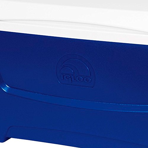 Igloo Caixa Térmica Island Breeze, 45 litros