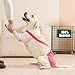 3 Pack Avont Washable Female Dog Diaper with Suspender, Reusable Girl Doggie Diapers for Small Medium Large Doggy in Heat Cycle Period Incontinence -L