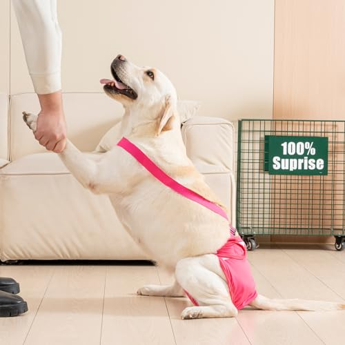 Avont 3 Stück Wiederverwendbare Hundewindeln, Hochsaugfähige, waschbare und umweltfreundliche Damenbinden Höschen für weibliche Haustiere -Schwarz/Rosa/Lila