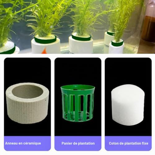 XiyaxiVici 10 Pièces Anneau de Fixation pour Plantes Aquatiques Aquarium Anneaux en Céramique Anti Flottantes Anneaux Fixes pour Accessoires Fish Tank – vue 2
