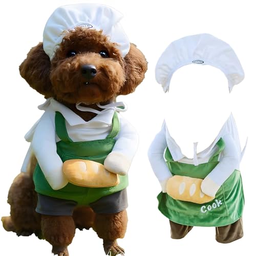  L VFt RX`[ Xq Gvƃpt - X^hAbvfUC o ybg NbLO ʐ^Be RXv ybgp[eB[ nEB NX}X (MTCY(8~16|h))