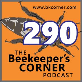BKCorner Episode 290 - Snowmageddon Podcast Por  arte de portada