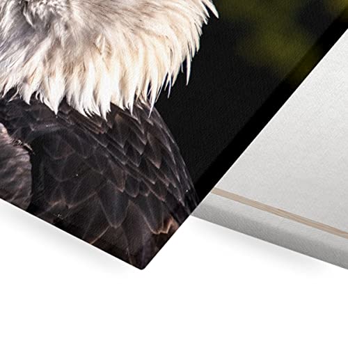 Tableau décoratif tête aigle pygargue emblème États-Unis