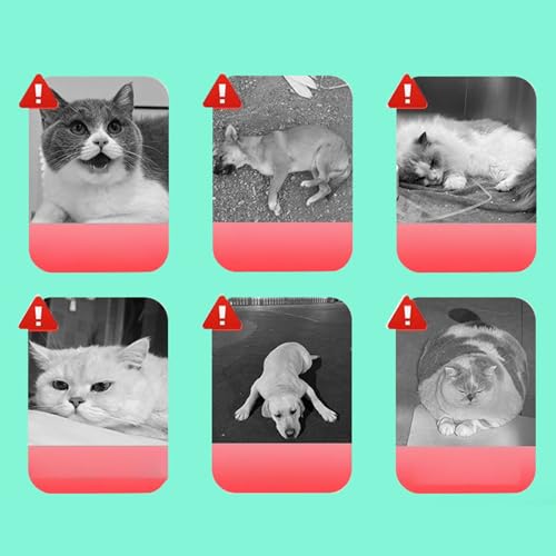 Hundeherz -Ergänzungsmittel 200 Stücke Hunde Herz Ergänzungen für EIN gesundes Herz und eine sichere Sicherung alltäglicher Unterstützung versorgen Fitness und unterstützen EIN gesundes Immunsystem