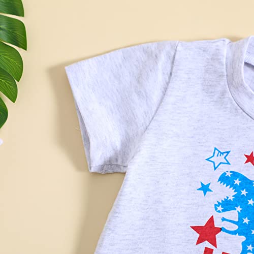 Infant Baby Boy 4Th Of July Outfits Short Sleeve Star T-Shirt Elastic Waist Red Shorts Summer Outfits (Dinosaur Set,3-6 Months) #TOP3