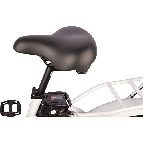 image for DJ Bikes DJ Folding Bike Step Thru 750W 48V 13Ah Power Electric Bicycl